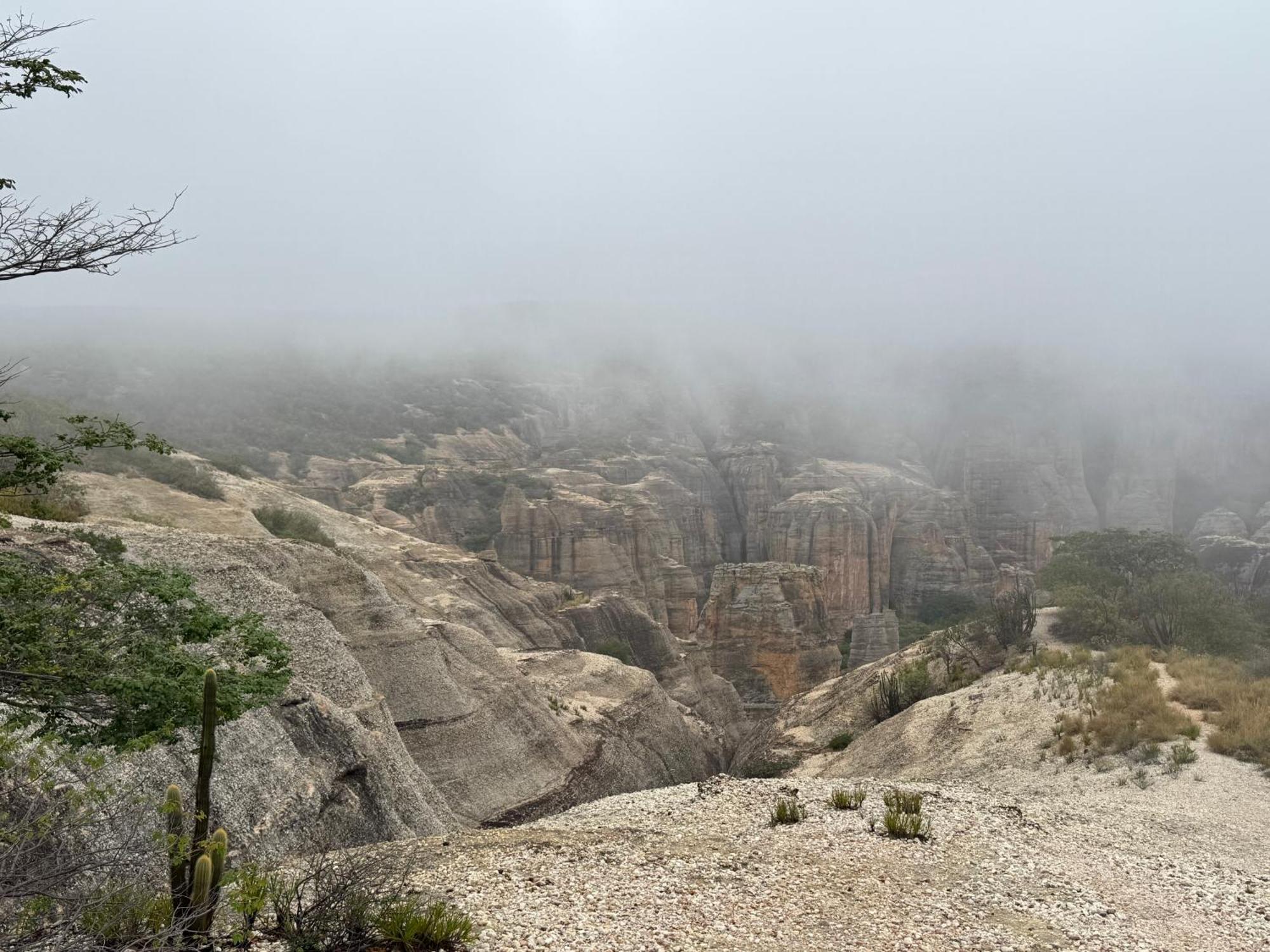 Casa Barreirinho Parque Nacional Serra Da Capivara Coronel Jose Dias Экстерьер фото